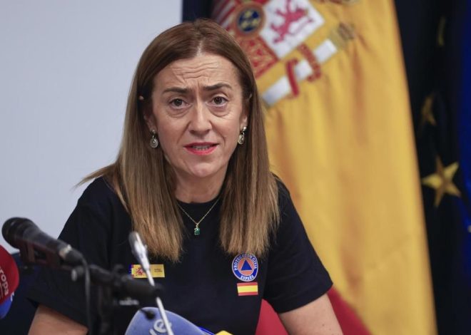 Protección Civil asegura que la situación de los incendios presenta «mejoría»: «Ya queda menos»