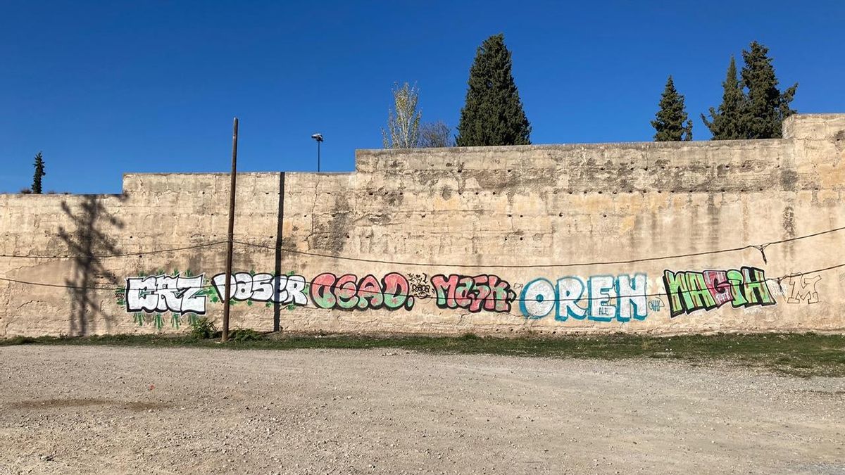 La muralla árabe de Granada, expuesta al abandono y el vandalismo: “Corren peligro siete siglos de historia”