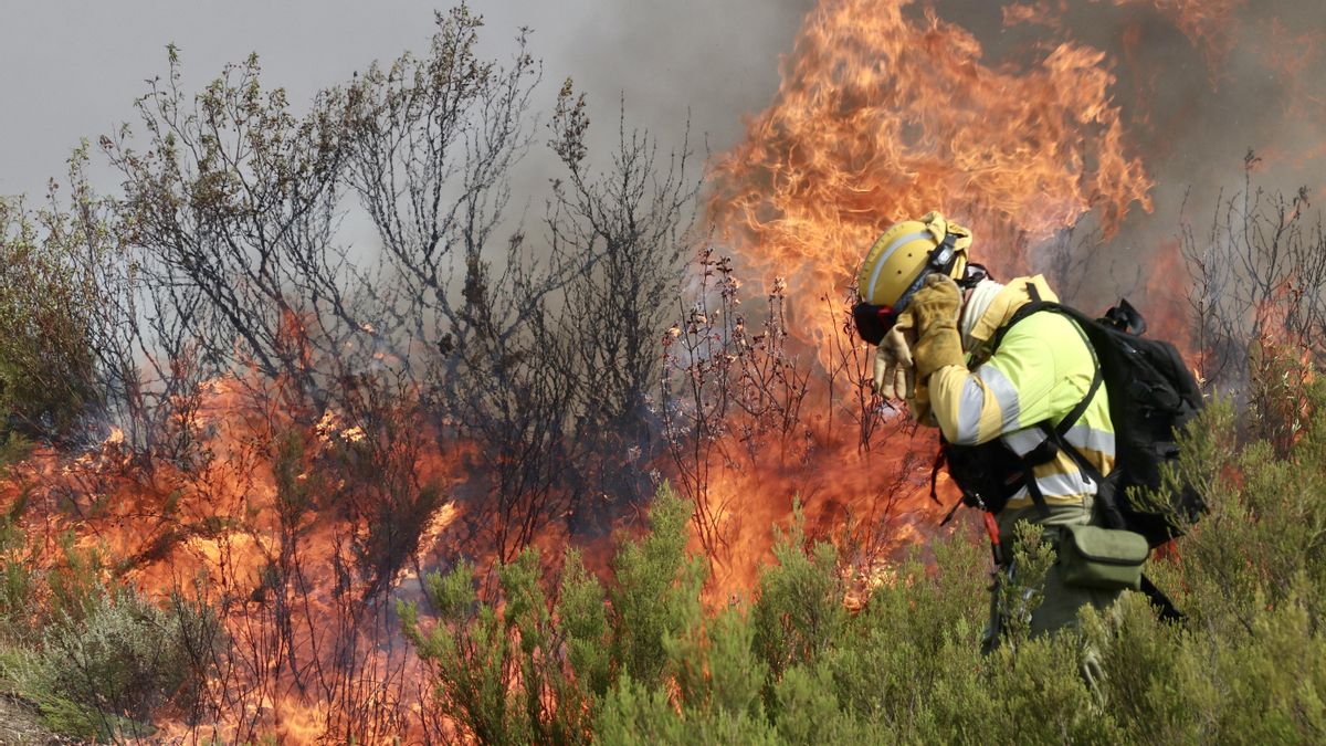 Caos y turnos infinitos en la lucha contra el fuego en Castilla y León: “El operativo ha colapsado y están improvisando”