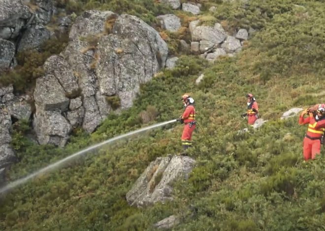 Declaran la «alarma extrema» por incendios en 37 municipios de León, Zamora y Palencia