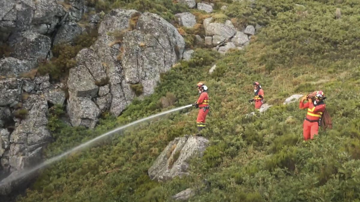 Declaran la «alarma extrema» por incendios en 37 municipios de León, Zamora y Palencia