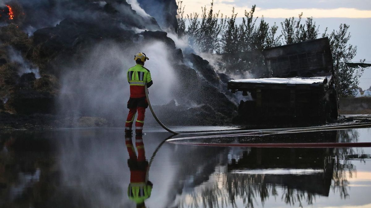 La presidenta de la Asociación Forestal Alcarreña: «Los montes se están convirtiendo en un polvorín»
