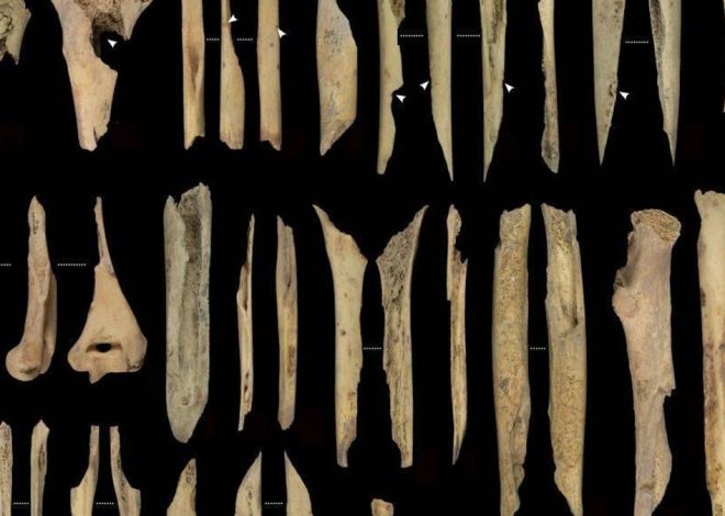 Despellejados, descarnados, cocinados y comidos: los restos de un nuevo caso de canibalismo durante el Neolítico en Atapuerca