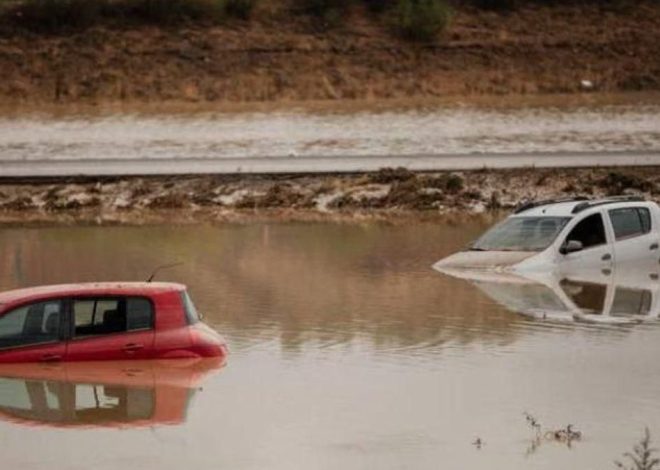 Adaptarse o morir: un estudio constata que el riesgo derivado del cambio climático sí se puede atajar