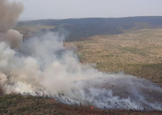La Generalitat Valenciana solicita la intervención de la UME por el incendio forestal de Teresa de Cofrentes