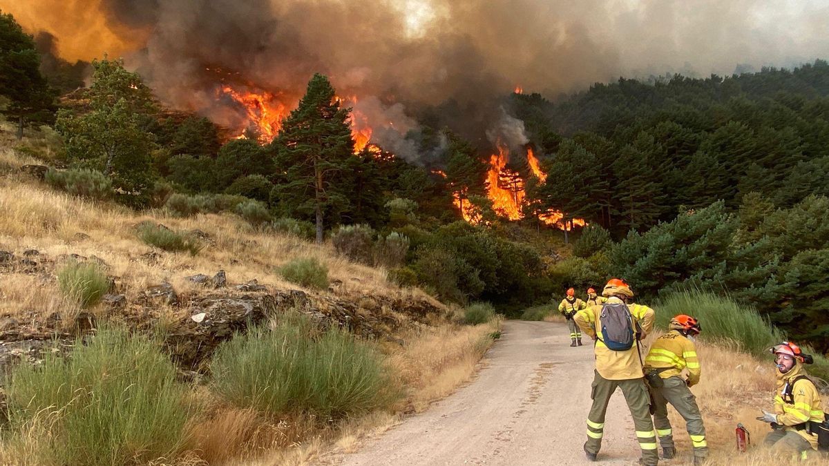 De los 1.170 euros en Castilla y León a los 3.600 euros de Catalunya: la desigualdad salarial de los bomberos forestales