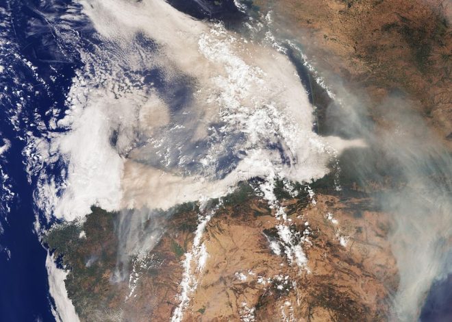 La ola de incendios, vista desde imágenes de satélite