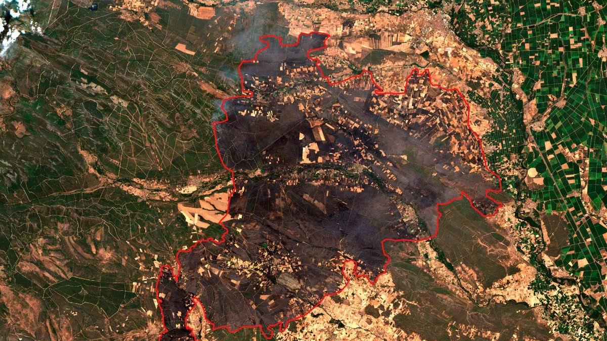 El incendio de Zamora-León apunta a las 37.000 hectáreas calcinadas: el peor de España desde que hay registros