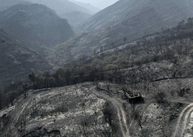 El pastoreo y los montes limpios no son la solución a los incendios forestales