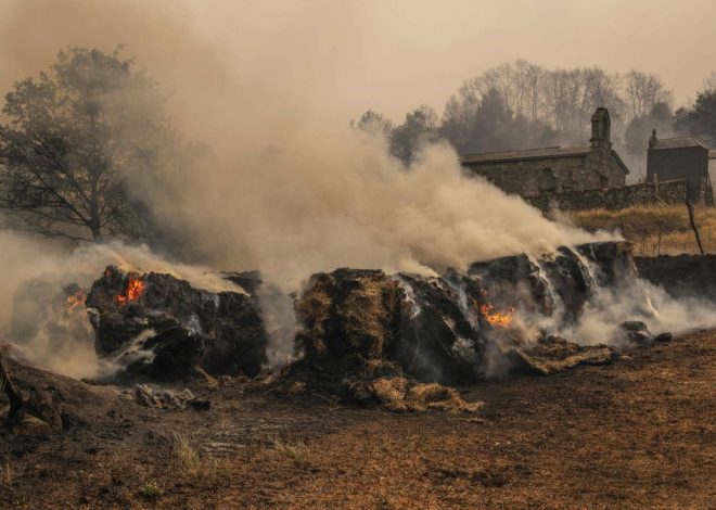 La desolación tras el paso de las llamas por Chandrexa, uno de los incendios más grandes de la historia de Galicia