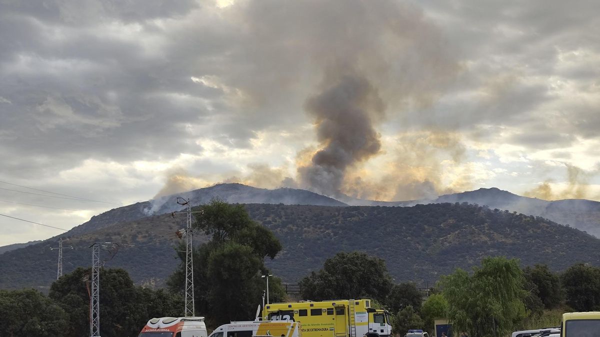 La factura de los incendios