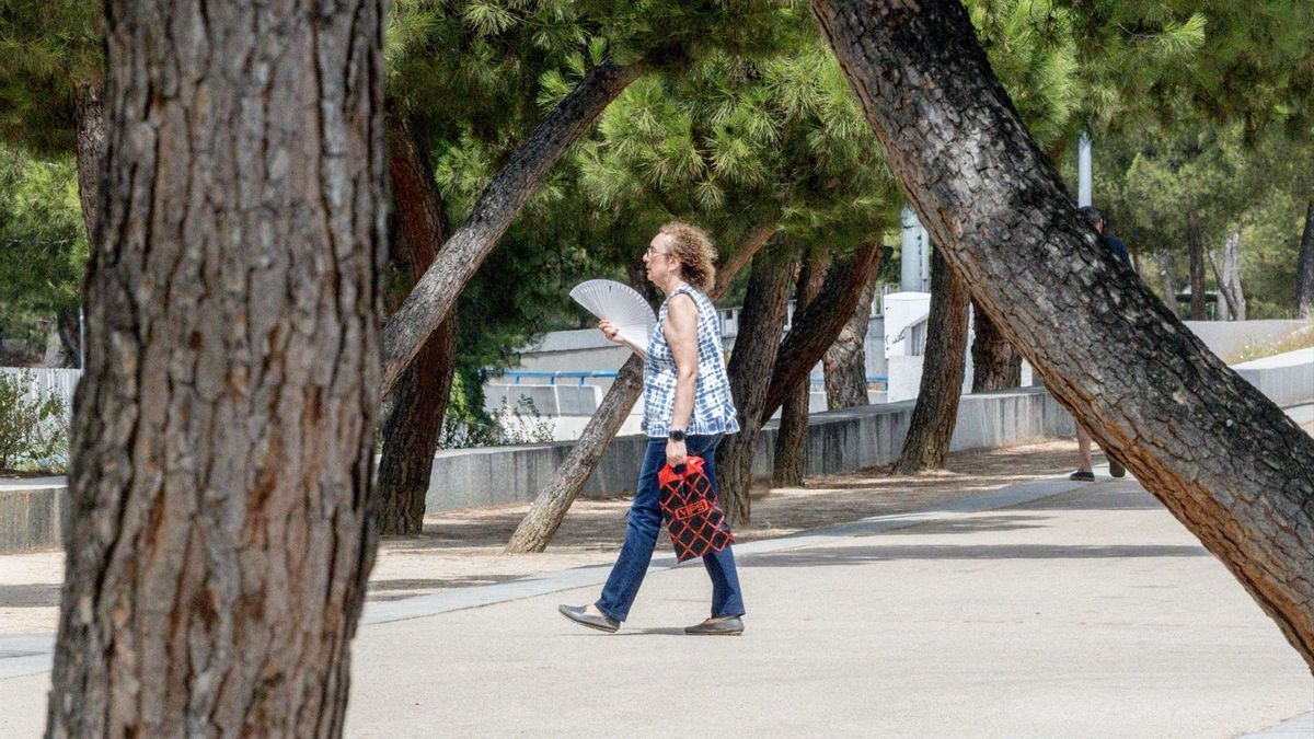 Madrid se despide del calor con un descenso brusco de temperaturas que refrescará la recta final de agosto