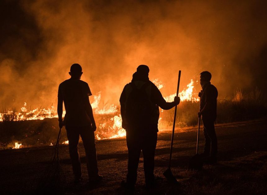 Detienen a otros dos presuntos autores de incendios en la provincia de Ourense