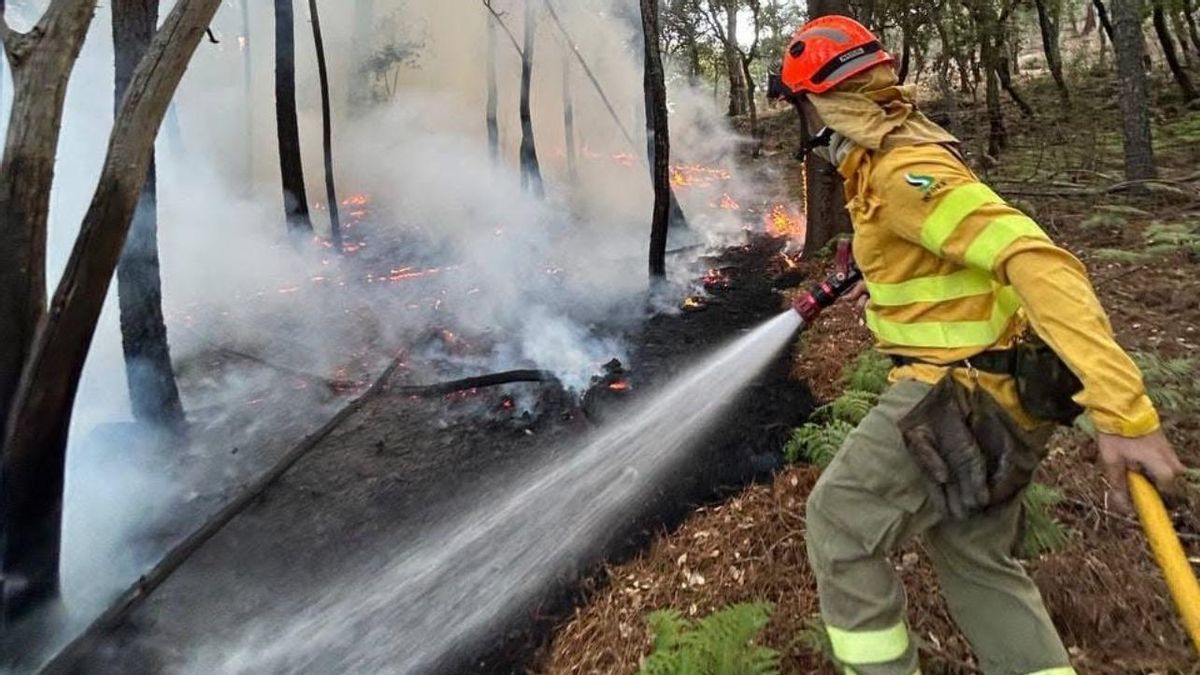 Dos mochilas de agua, herramientas manuales y mucha valentía: el retén que combate el incendio del norte de Cáceres sin camión