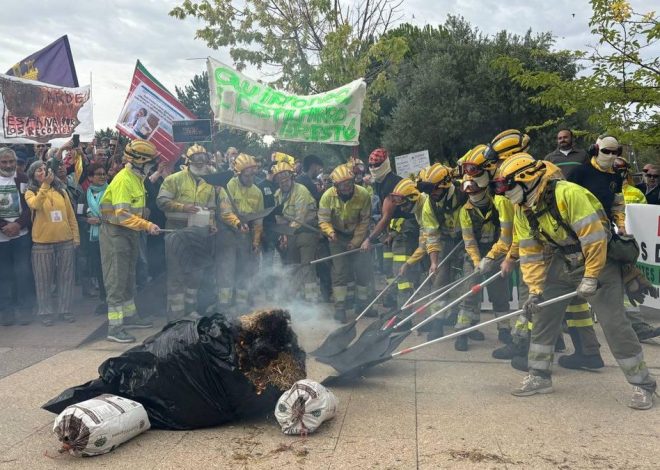 Los bomberos forestales toman las puertas de las Cortes para exigir las dimisiones de Mañueco y Quiñones