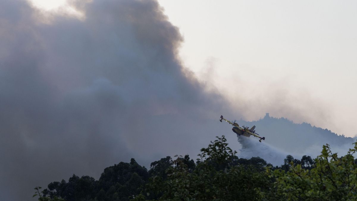 No existen los milagros: los incendios y sus soluciones son complejas