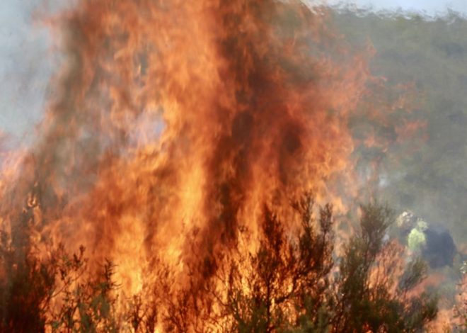 Ahora, Salamanca: un incendio en Ciudad Rodrigo se suma a la oleada de graves fuegos de Castilla y León
