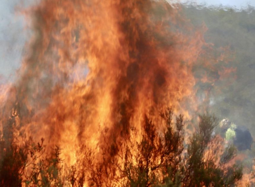 Ahora, Salamanca: un incendio en Ciudad Rodrigo se suma a la oleada de graves fuegos de Castilla y León