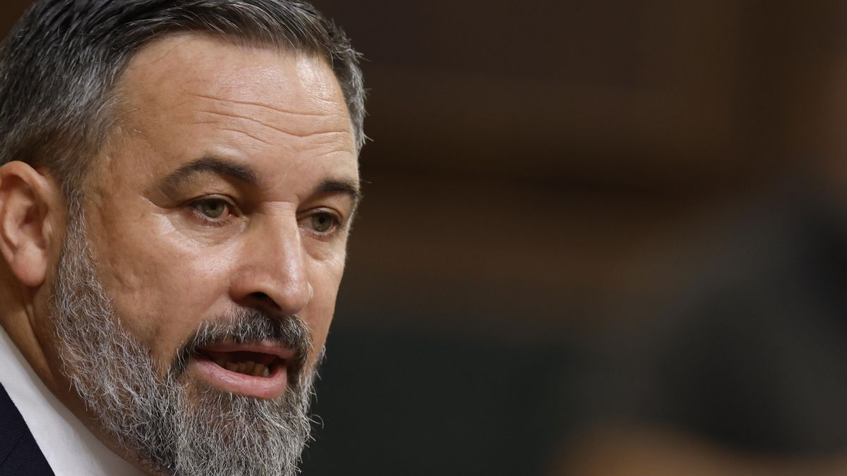 Abascal arremete contra Open Arms y pide «hundir» su barco recién llegado a Tenerife