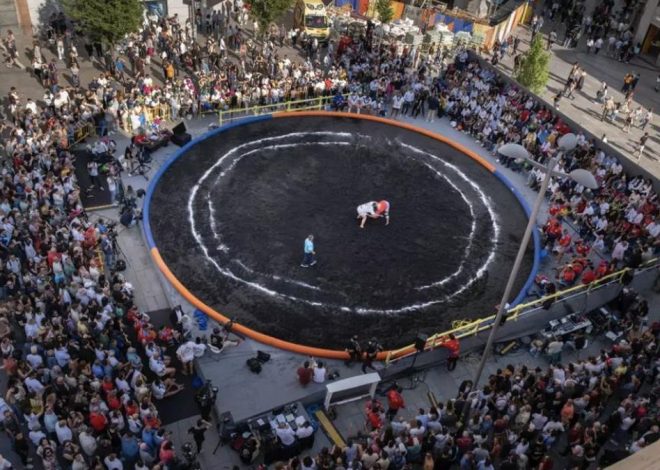 La Palma autoriza a Madrid usar la arena del volcán en sus parques y jardines