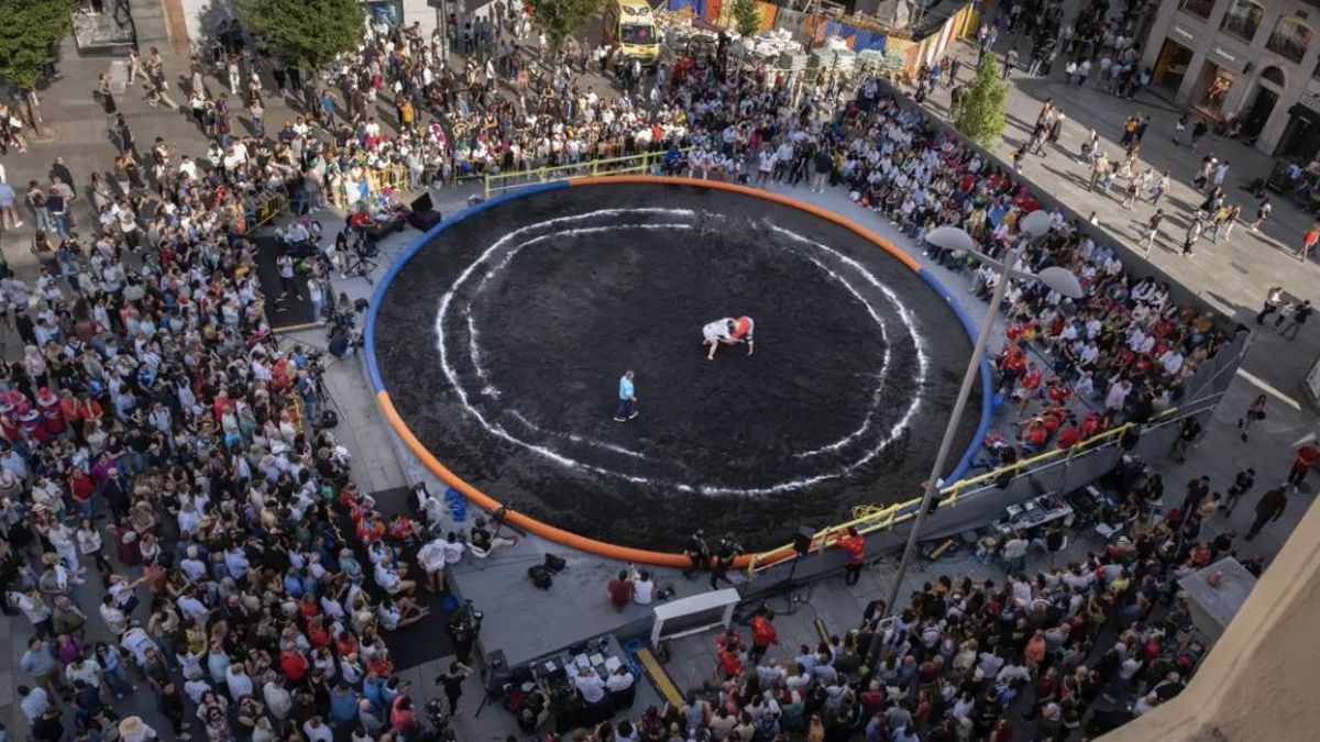 La Palma autoriza a Madrid usar la arena del volcán en sus parques y jardines