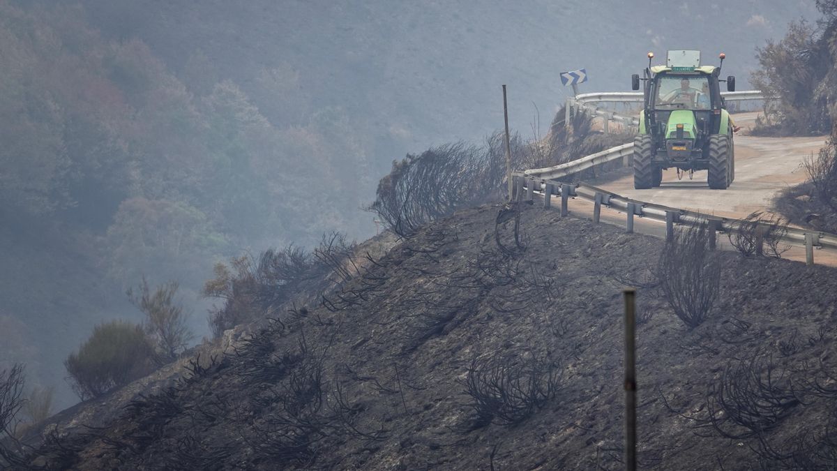 Los incendios causan pérdidas de cientos de millones y aumentan el malestar del campo: «Ha desaparecido mucho ganado»