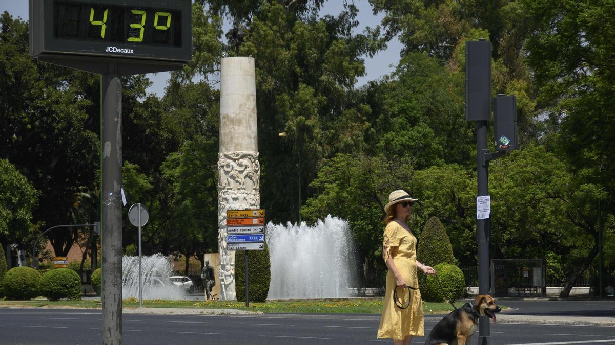 Aemet extiende de nuevo el aviso por ola de calor: durará al menos una semana