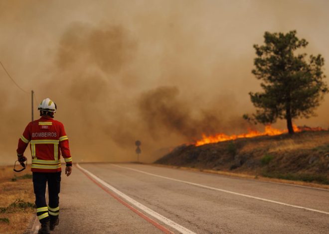 Un estudio alerta de que la mortalidad asociada a partículas finas de incendios podría estar subestimada en un 93%