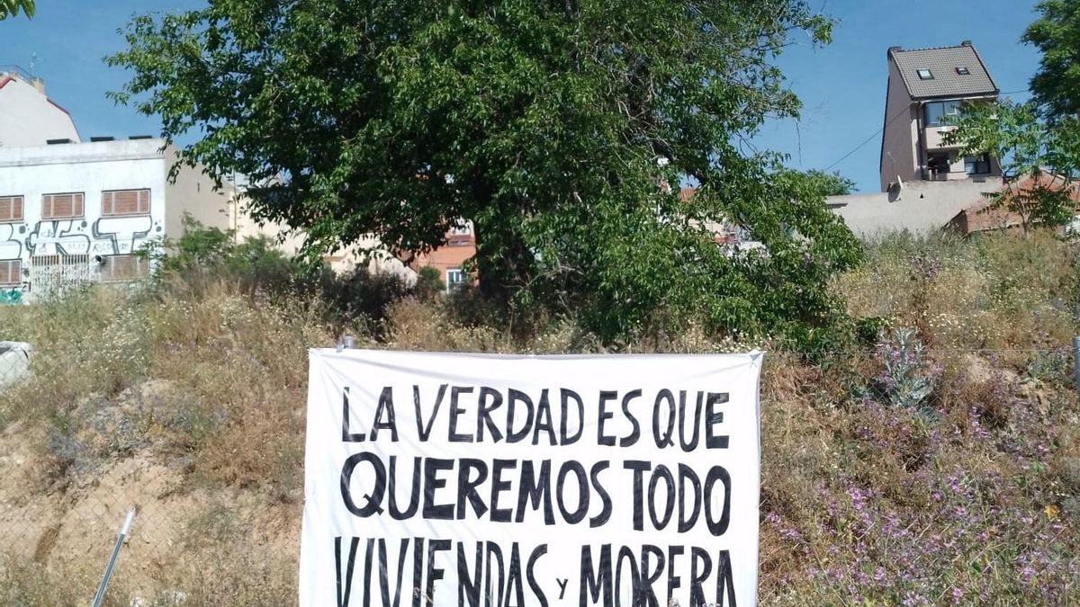 La EMVS tala la morera centenaria de Tetuán que los vecinos hicieron símbolo del viejo barrio y del desmán urbanístico