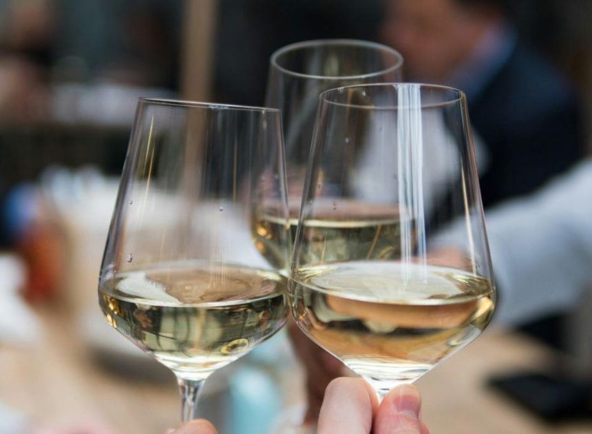 Genética forense para identificar a los “padres” del Cabernet Sauvignon, el Chardonnay y otros vinos