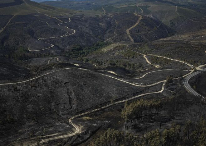 Estabilizado el incendio de Larouco tras arrasar más de 30.000 hectáreas en Ourense
