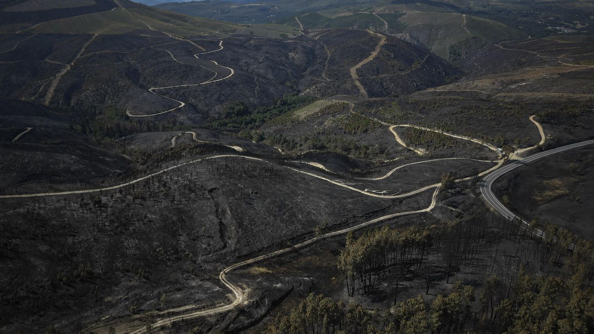 Estabilizado el incendio de Larouco tras arrasar más de 30.000 hectáreas en Ourense
