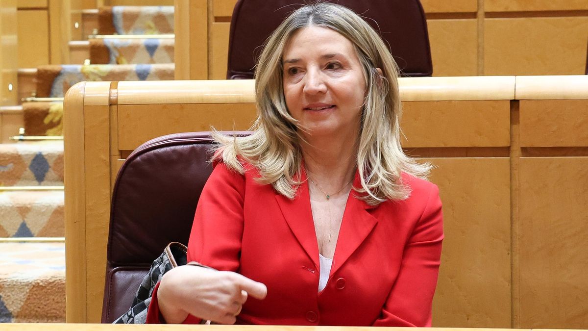 El PP defiende que Castilla y León dejara de usar medios del Ejército contra los incendios porque no lo habían pedido