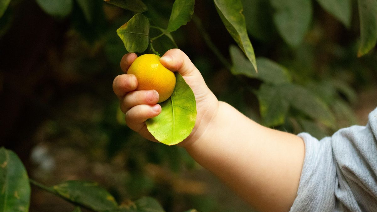 Enseñar a los niños a comer con las manos: las claves de una nutricionista para iniciarse