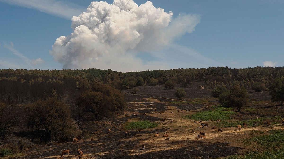 ¿Qué pensabas que era el cambio climático?