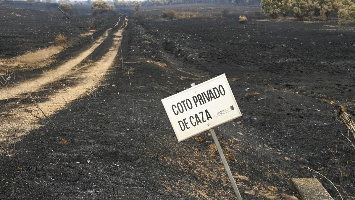 La Junta de Castilla y León no prohíbe la caza de media veda pese a la alarma extrema de incendios