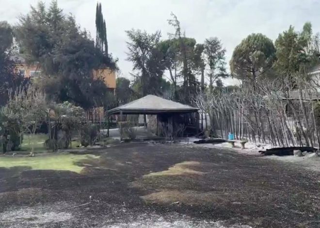 El fallecido en el incendio de Tres Cantos era un hombre de 50 años que intentó salvar del fuego a decenas de caballos