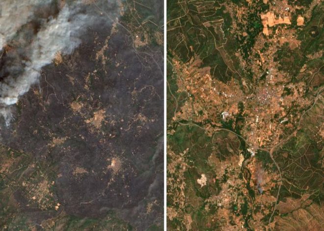 De verde a ceniza en Ourense: las imágenes de satélite anticipan un balance devastador de los incendios
