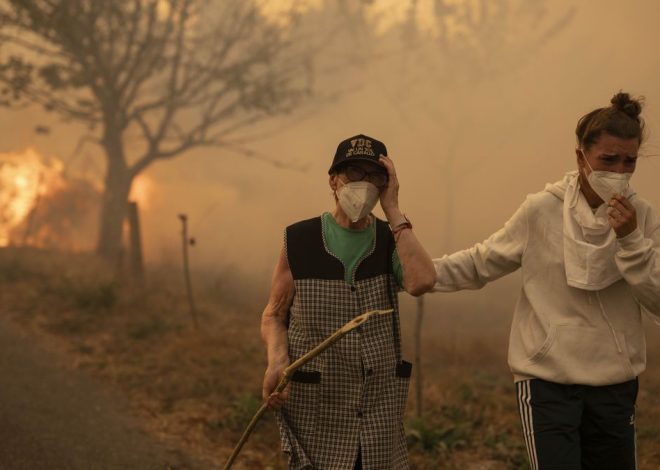 El Gobierno activa el procedimiento para las ayudas a los afectados por los incendios y se abre a aumentarlas