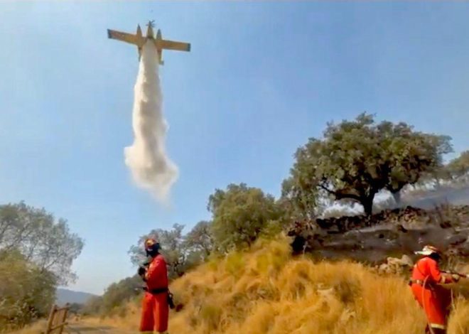 Se confirma que el incendio de Aliseda en Cáceres fue provocado por intereses económicos vinculados a la caza
