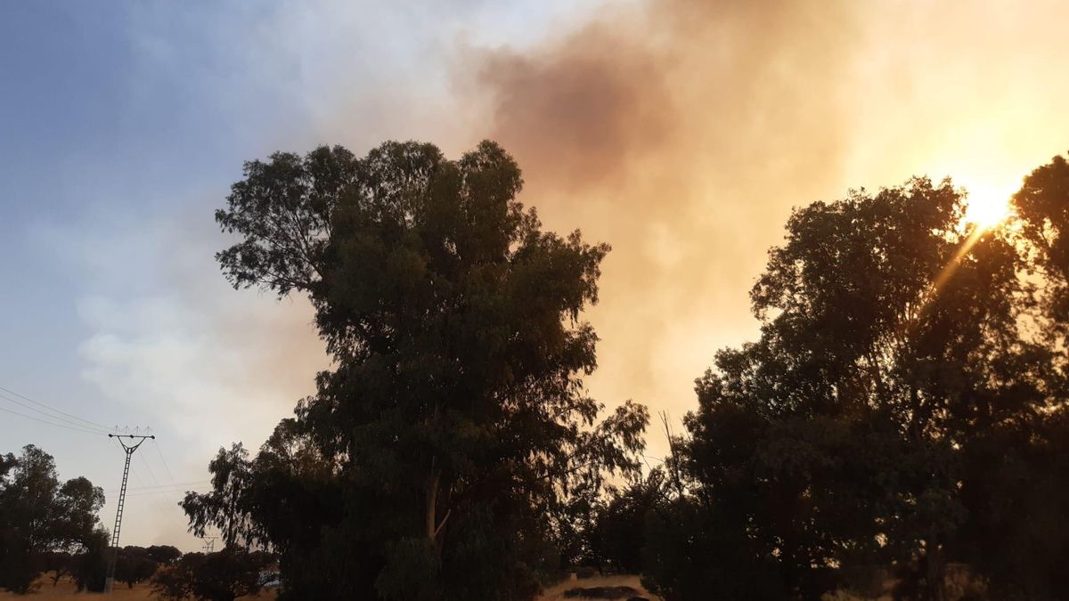 Dos nuevos incendios en Cáceres: se desalojan dos urbanizaciones en Arroyo de la Luz y Aliseda
