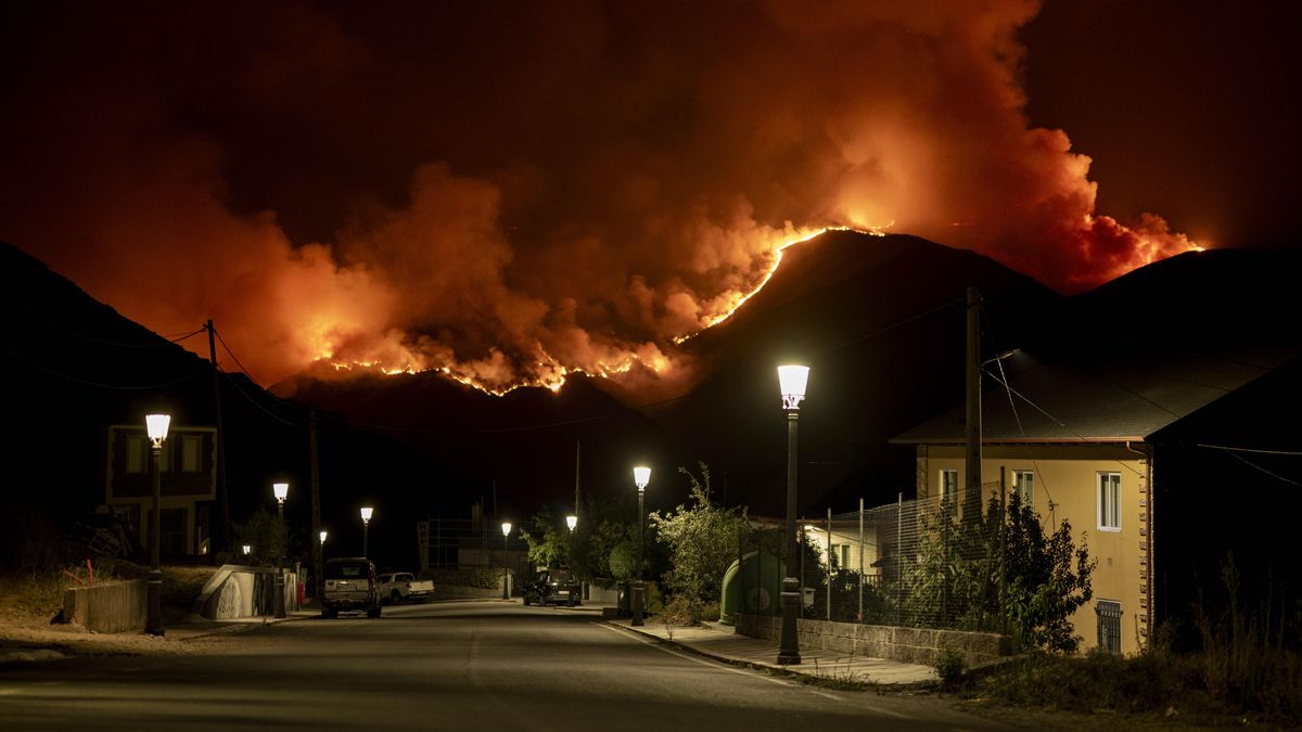 Gestión forestal: una herramienta imprescindible ante la emergencia climática