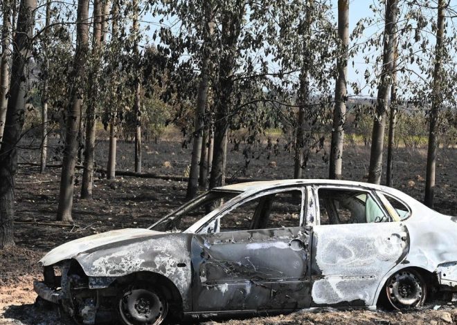 Los incendios empeoran en Castilla y León con catorce incendios de gravedad en León, Zamora, Salamanca y Ávila