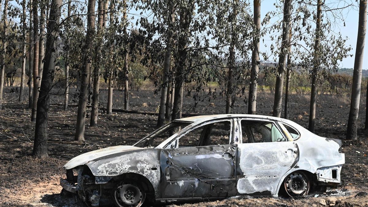 Los incendios empeoran en Castilla y León con catorce incendios de gravedad en León, Zamora, Salamanca y Ávila