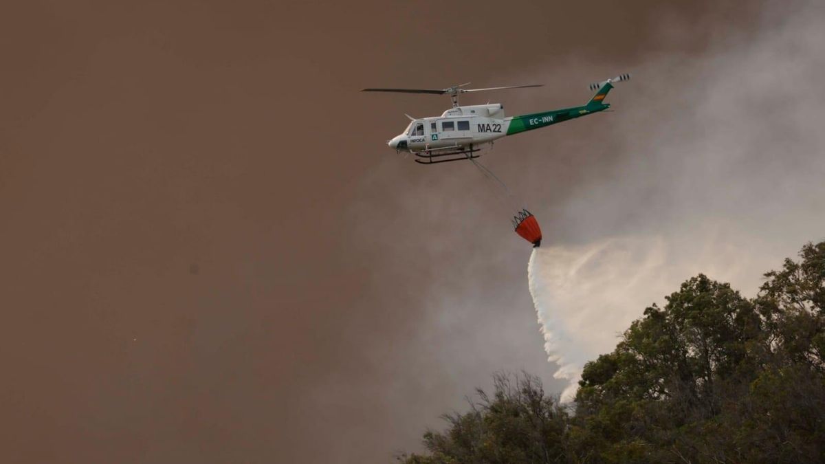 El incendio de Tarifa (Cádiz) fuerza la evacuación acelerada de hoteles, campings, chiringuitos y 5.000 vehículos