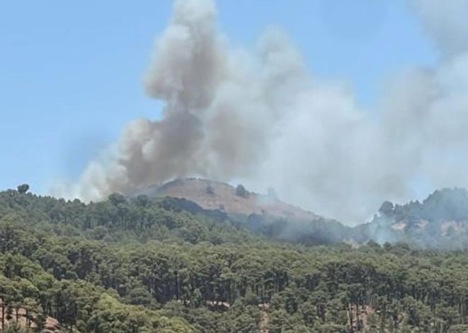 Conato de incendio en El Pinar: el Ayuntamiento herreño pide no salir del pueblo y varios medios aéreos actúan en la zona