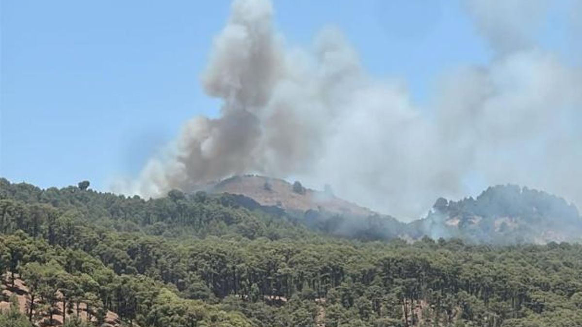 Conato de incendio en El Pinar: el Ayuntamiento herreño pide no salir del pueblo y varios medios aéreos actúan en la zona