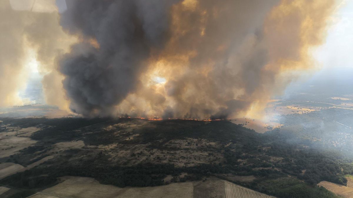 Zamora registra un incendio de gravedad que obliga a evacuar cuatro localidades