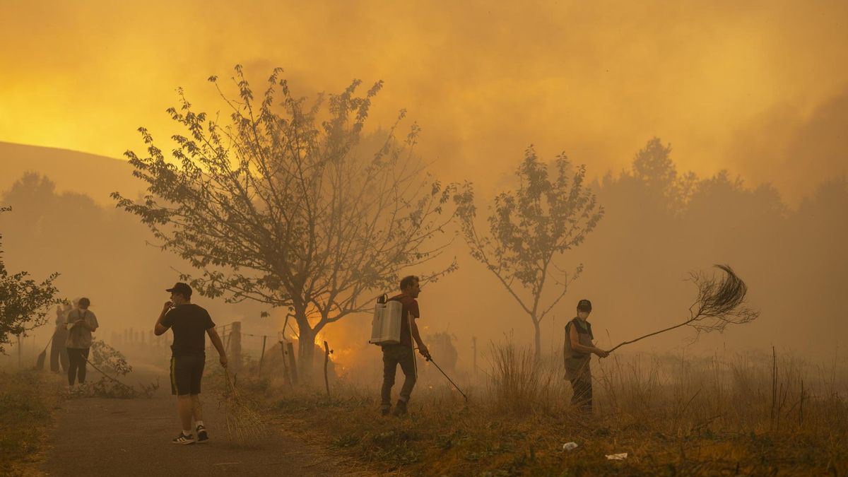 «No nos dejan limpiar el monte»: pese a las quejas de algunos vecinos, la ley obliga a los propietarios a mantener sus parcelas
