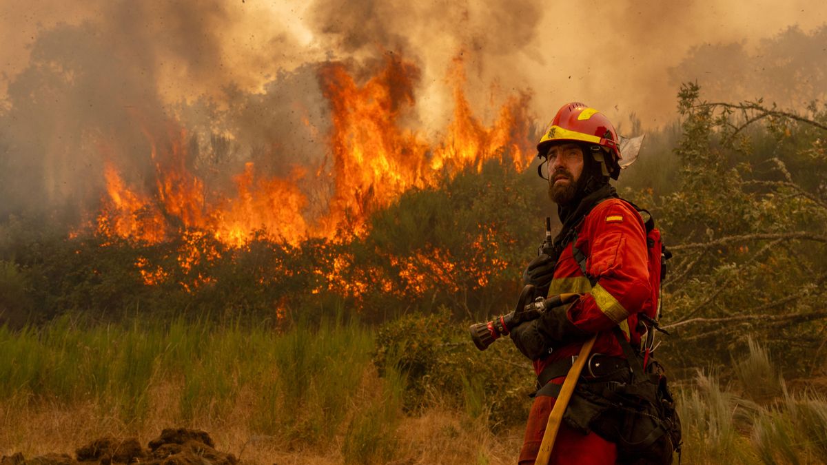 La ola de incendios, de un vistazo: la evolución del fuego, comunidad por comunidad